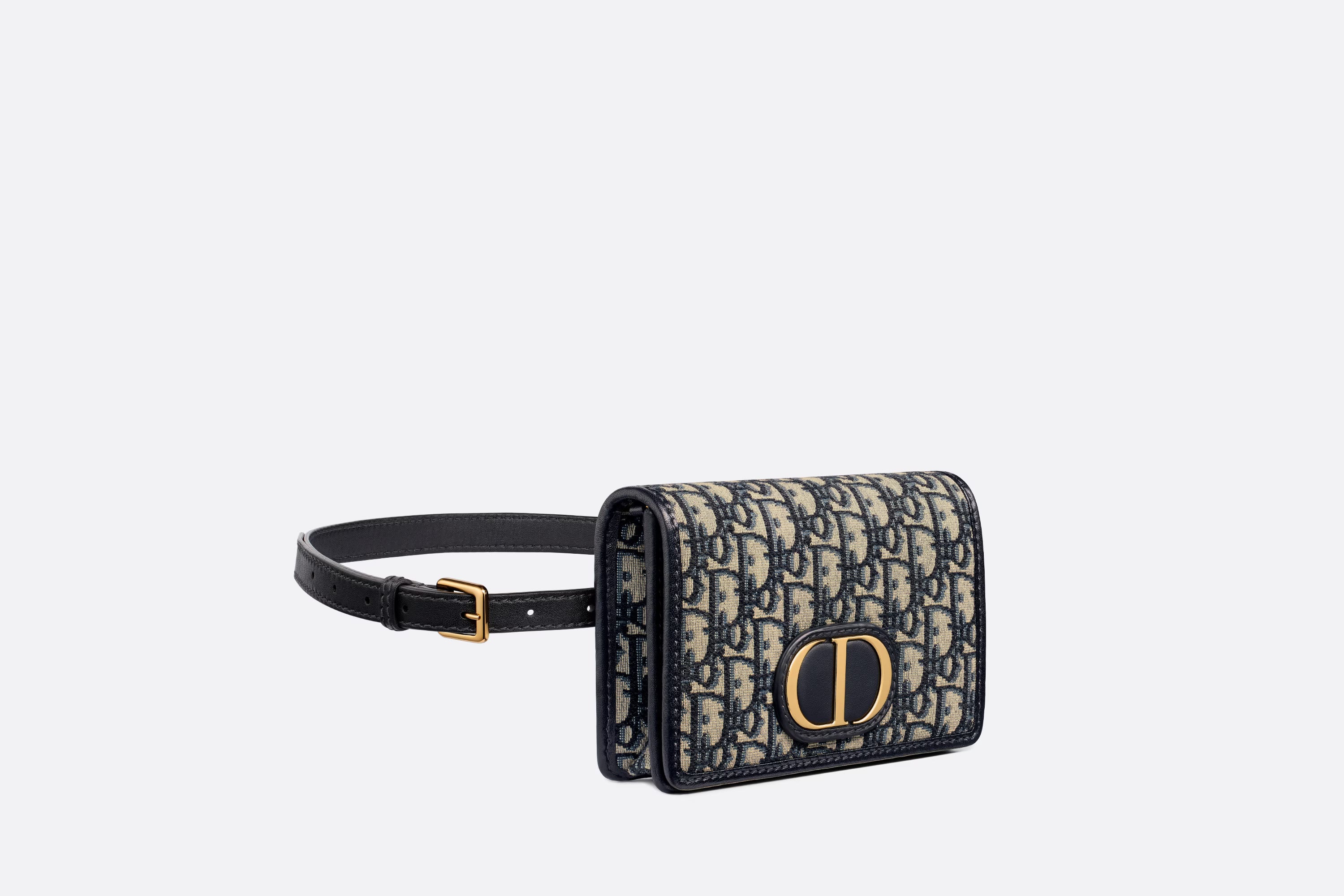 Dior 30 MONTAIGNE POUCH BELT BAG