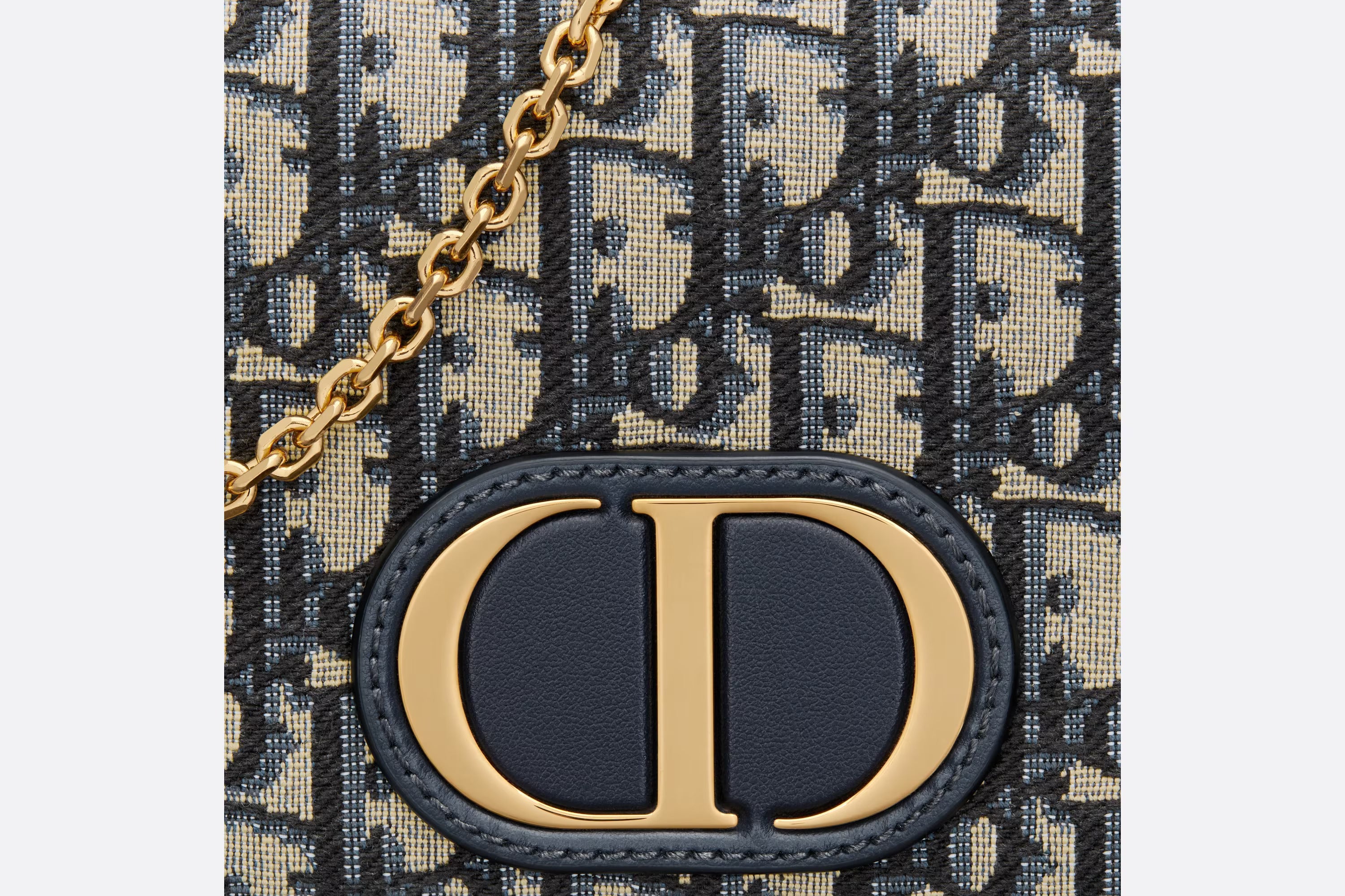 Dior 30 MONTAIGNE POUCH BELT BAG